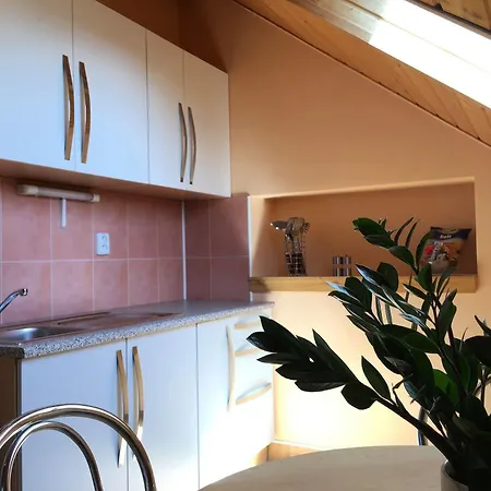 Guest house Hradby 3*